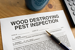 Licensed Pest Inspection CT 